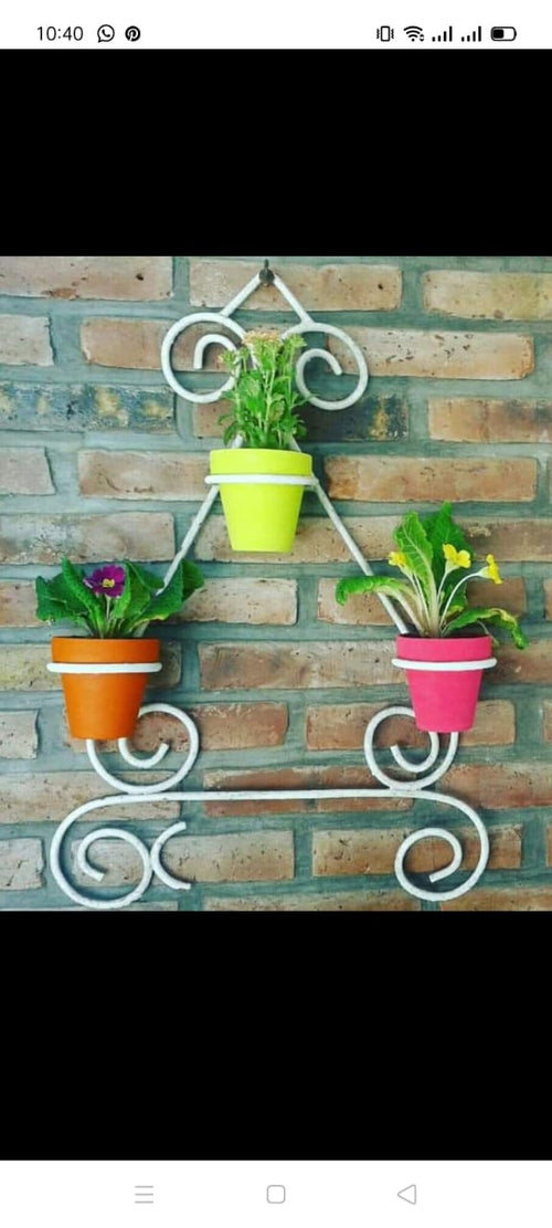 tripod flower plant