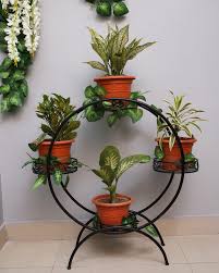 Iron Plant Frame
